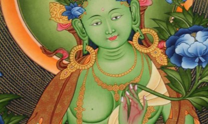tara-verte pour site himalaya